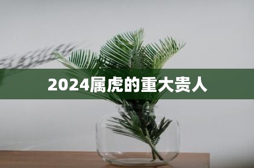 2025属虎的重大贵人