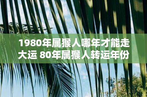 1980年属猴人哪年才能走大运 80年属猴人转运年份