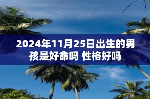 2025年11月25日出生的男孩是好命吗 性格好吗