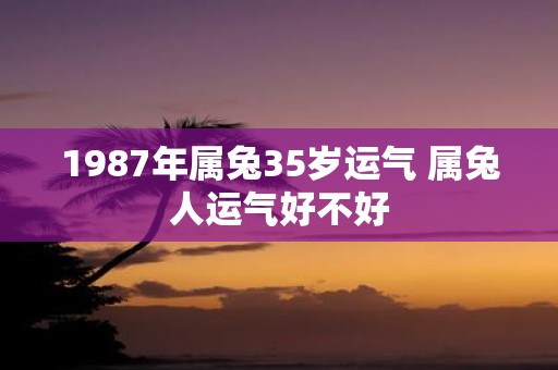 1987年属兔35岁运气 属兔人运气好不好