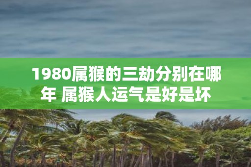 1980属猴的三劫分别在哪年 属猴人运气是好是坏