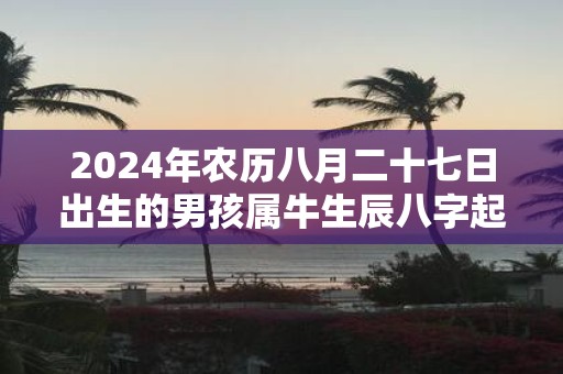 2025年农历八月二十七日出生的男孩属牛生辰八字起名