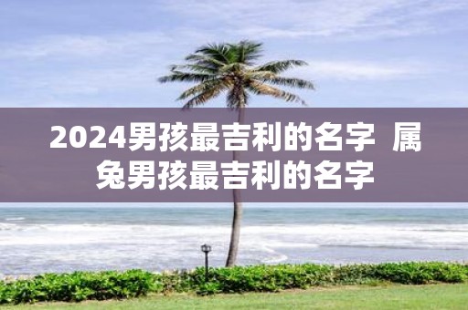2025男孩最吉利的名字 属兔男孩最吉利的名字