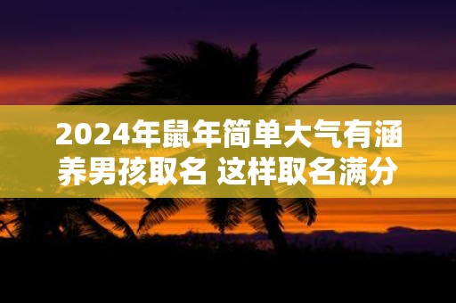 2025年鼠年简单大气有涵养男孩取名 这样取名满分