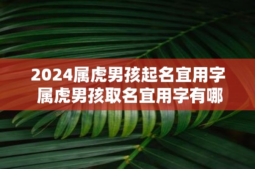 2025属虎男孩起名宜用字 属虎男孩取名宜用字有哪些