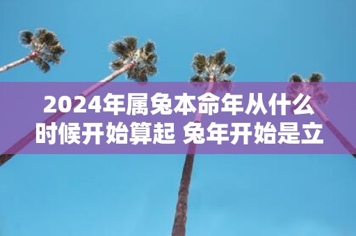 2025年属兔本命年从什么时候开始算起 蛇年开始是立春还是大年初一