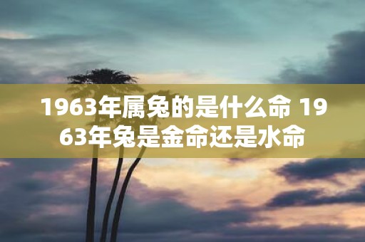 1963年属兔的是什么命 1963年兔是金命还是水命