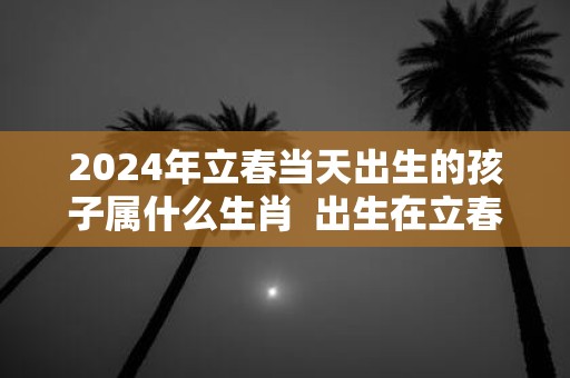 2025年立春当天出生的孩子属什么生肖 出生在立春前后属相怎么算