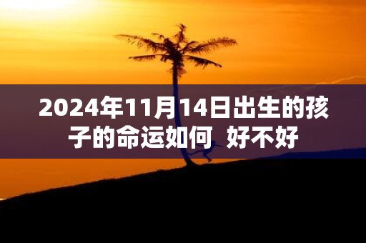 2025年11月14日出生的孩子的命运如何 好不好