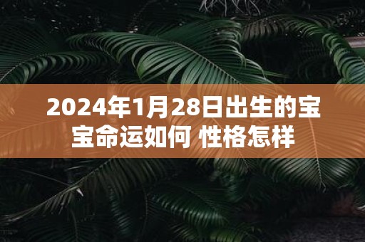 2025年1月28日出生的宝宝命运如何 性格怎样