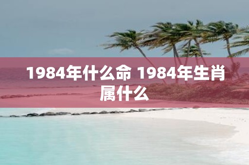 1984年什么命 1984年生肖属什么