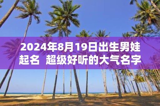 2025年8月19日出生男娃起名 超级好听的大气名字