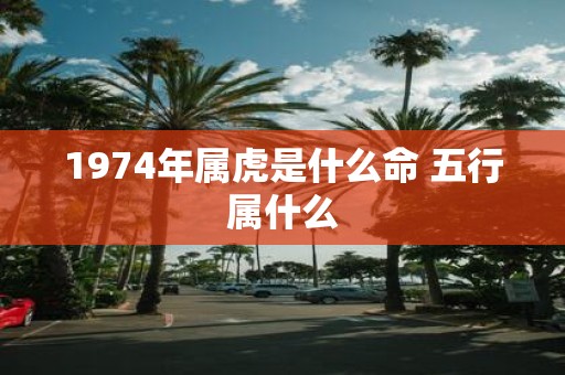 1974年属虎是什么命 五行属什么