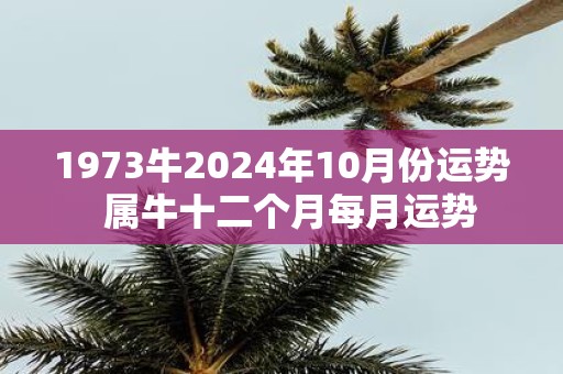 1973牛2025年10月份运势 属牛十二个月每月运势