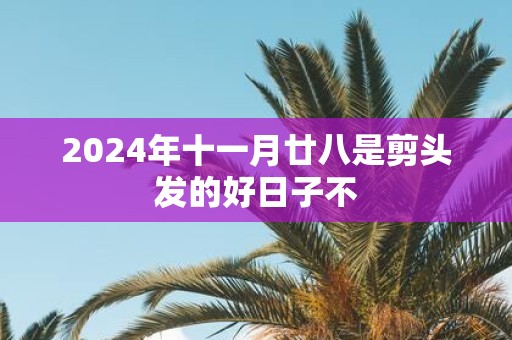2025年十一月廿八是剪头发的好日子不