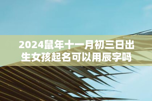 2025鼠年十一月初三日出生女孩起名可以用辰字吗