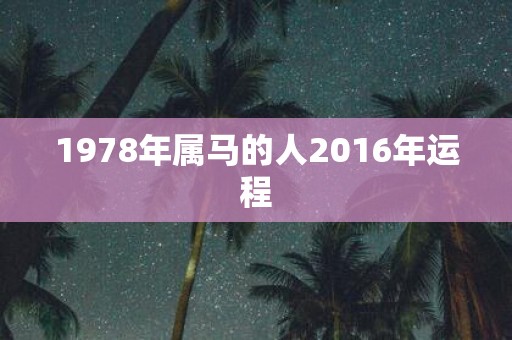 1978年属马的人2016年运程