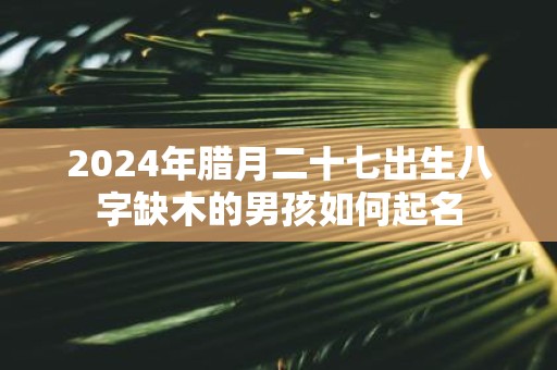 2025年腊月二十七出生八字缺木的男孩如何起名