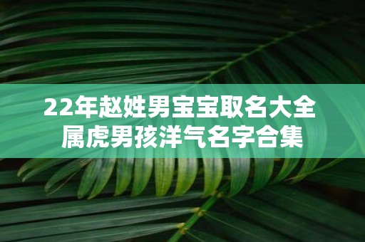 22年赵姓男宝宝取名大全 属虎男孩洋气名字合集