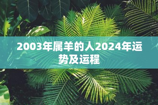 2003年属羊的人2025年运势及运程
