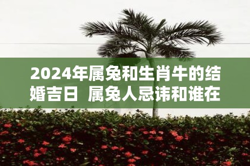 2025年属兔和生肖牛的结婚吉日 属兔人忌讳和谁在一起