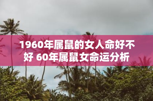 1960年属鼠的女人命好不好 60年属鼠女命运分析