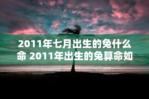 2011年七月出生的兔什么命 2011年出生的兔算命如何