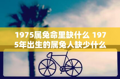 1975属兔命里缺什么 1975年出生的属兔人缺少什么