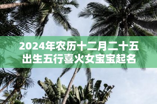 2025年农历十二月二十五出生五行喜火女宝宝起名