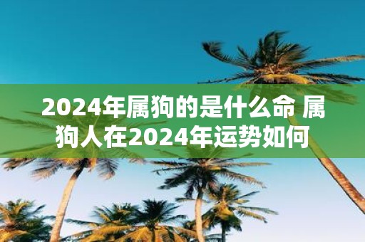 2025年属狗的是什么命 属狗人在2025年运势如何
