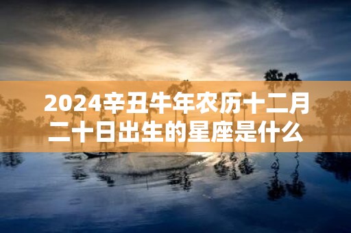 2025辛丑牛年农历十二月二十日出生的星座是什么