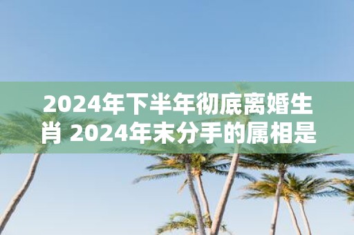 2025年下半年彻底离婚生肖 2025年末分手的属相是什么
