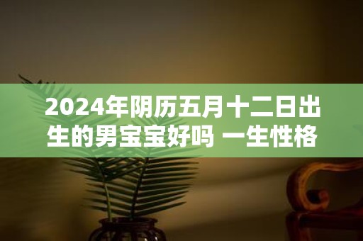 2025年阴历五月十二日出生的男宝宝好吗 一生性格详解