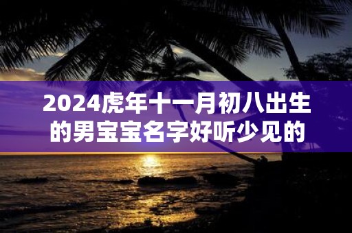 2025虎年十一月初八出生的男宝宝名字好听少见的