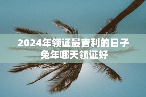 2025年领证最吉利的日子 蛇年哪天领证好