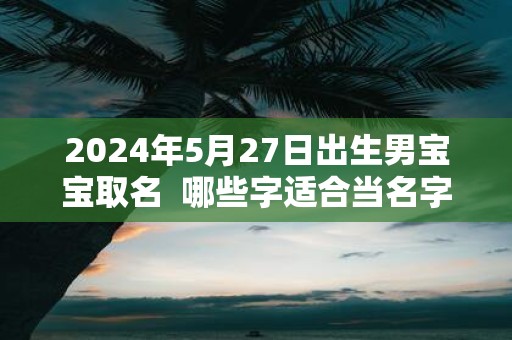 2025年5月27日出生男宝宝取名 哪些字适合当名字