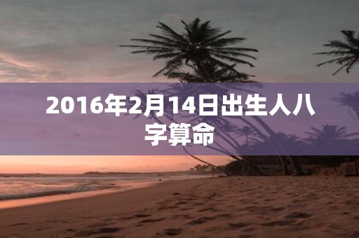 2016年2月14日出生人八字算命