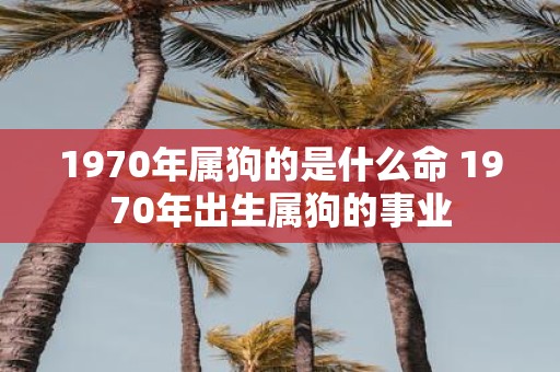 1970年属狗的是什么命 1970年出生属狗的事业