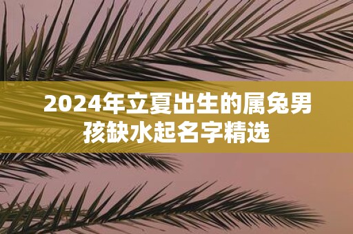 2025年立夏出生的属兔男孩缺水起名字精选
