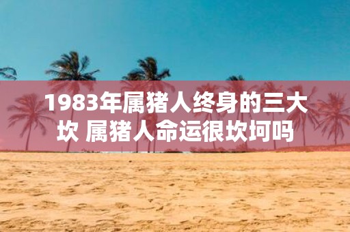1983年属猪人终身的三大坎 属猪人命运很坎坷吗