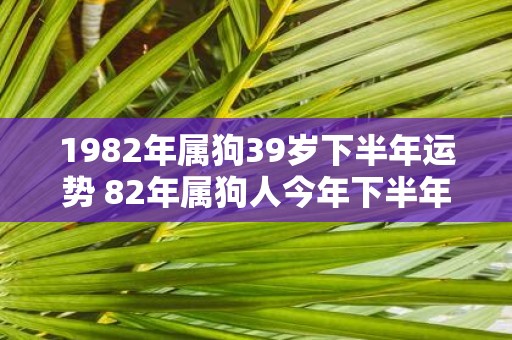 1982年属狗39岁下半年运势 82年属狗人今年下半年运势