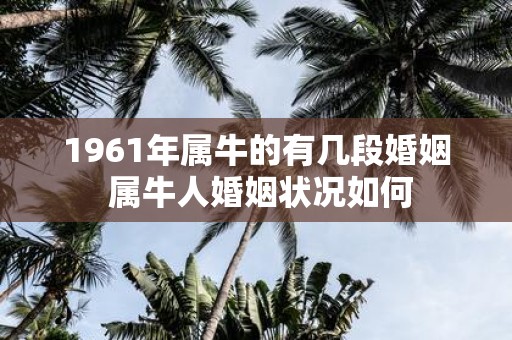 1961年属牛的有几段婚姻 属牛人婚姻状况如何