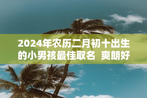 2025年农历二月初十出生的小男孩最佳取名 爽朗好听的名字