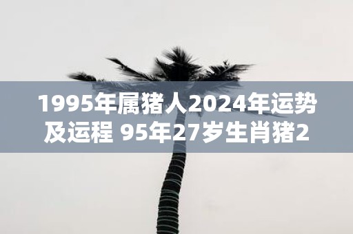 1995年属猪人2025年运势及运程 95年27岁生肖猪2025年每月运势