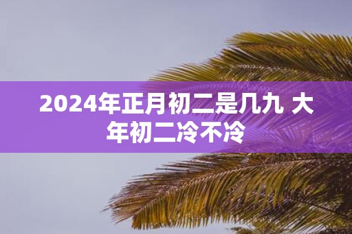2025年正月初二是几九 大年初二冷不冷