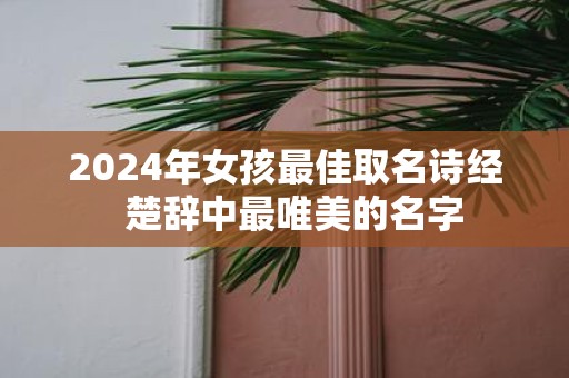 2025年女孩最佳取名诗经 楚辞中最唯美的名字