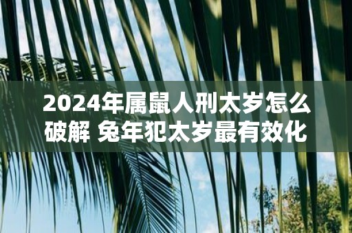 2025年属鼠人刑太岁怎么破解 蛇年犯太岁最有效化解之法