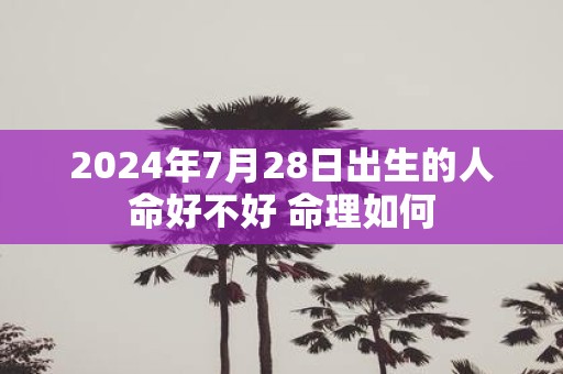 2025年7月28日出生的人命好不好 命理如何