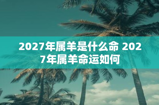 2027年属羊是什么命 2027年属羊命运如何
