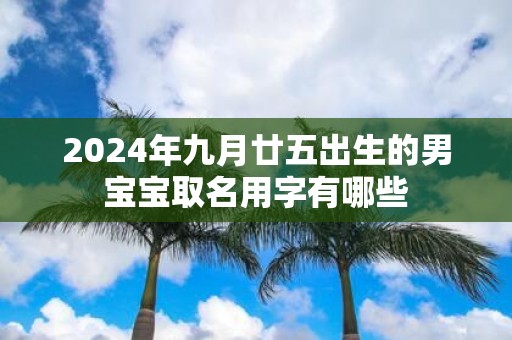 2025年九月廿五出生的男宝宝取名用字有哪些